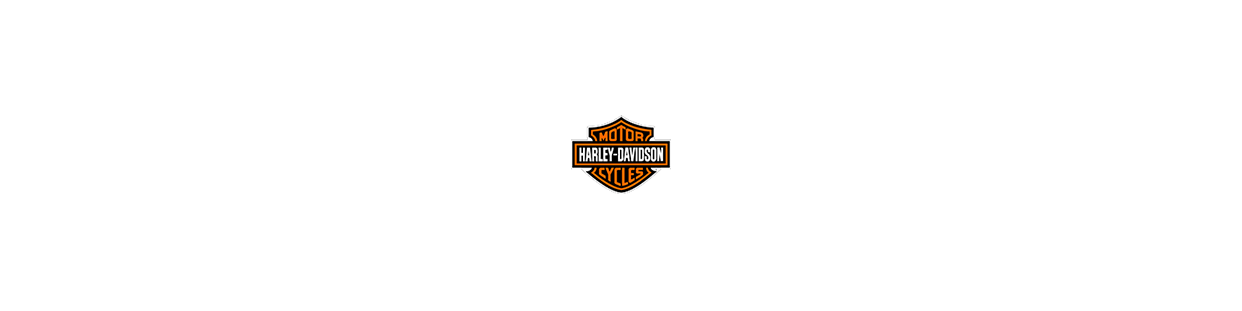 Harley Davidson